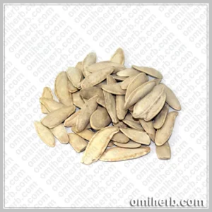 Pumpkin Seeds (Tukhm-e-Kaddu)   تخم کدو کدو کے بیج