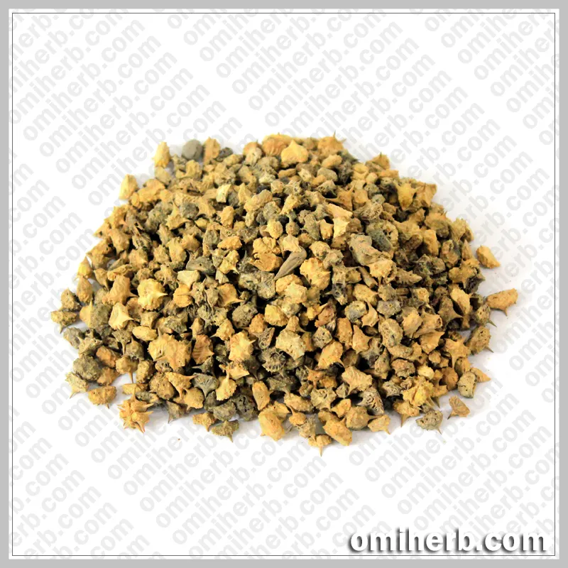 Puncture Vine (Ghokhru Khurd) گھوکھرو خورد