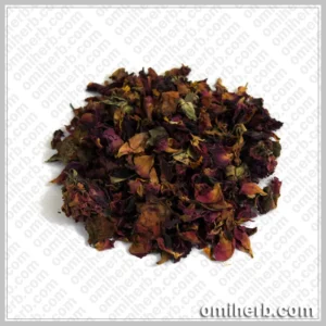 Rose Flower (Gul-e-Surkh, Gulab Ka Phool)  گل سرخ گلاب کا پھول