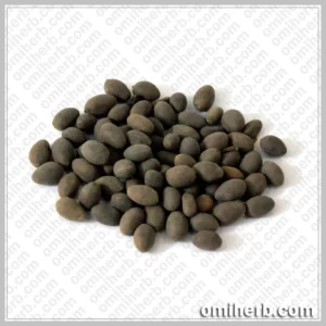 Sacred Lotus (Kanwal Gutta)  کنول گٹہ