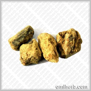 Sal Tree (Ral Safaid)  رال سفید