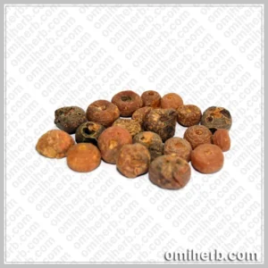 Smearwort (Zaravand Mudharij) زراوندمدحرج