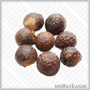 Soap Nut (Reethe)  ریٹھے