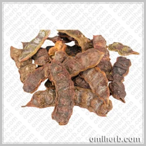 Soap Pod Wattle (Seekakai)  سکا کایی