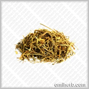 Spleenwort (Chitrak) چترک