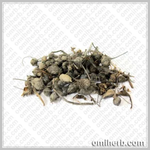 Sweet Cyperus (Nagar Moth) ناگر موتھ