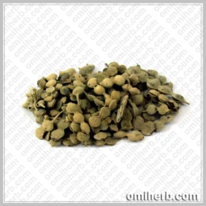 Sweet Thorn (Phalli Babool)  پھلی ببول