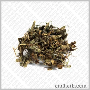 Sweet Violet (Gul-e-Banafsha)  گل بنفشہ