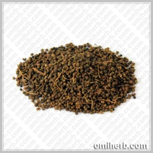 Toothache Fruit (Kabab Khandan) کباب خنداں