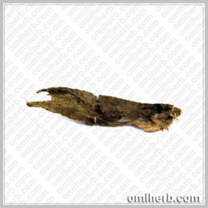 Walnut Tree Bark (Dandasa) دنداصہ