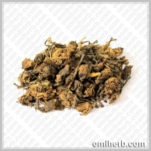 Water Lily Flower (Gul-e-Neelofer, Kanwal Ka Phool) گُل نیلوفر