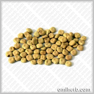 White Lupin (Tarmas) ترمس