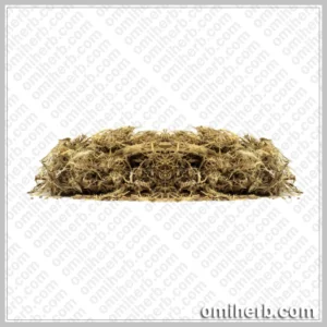 Wild Indigo (Sarphoka, Saraponkh) سرپھوکہ