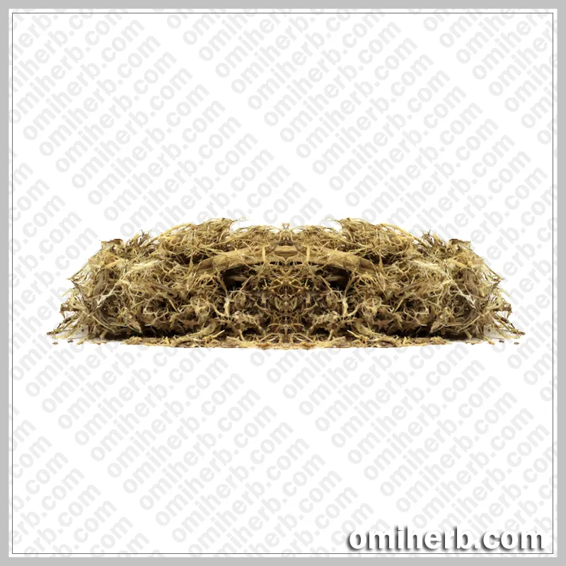 Wild Indigo (Sarphoka, Saraponkh) سرپھوکہ