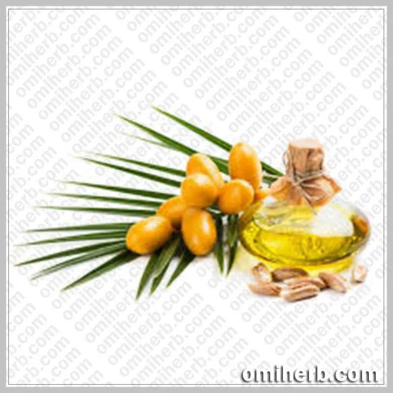 Date Seed Oil