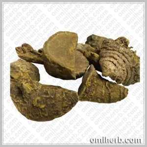 Wild Turmeric (Amba Haldi) آنبہ ہلدی